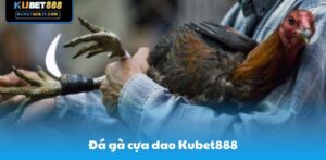Kubet888