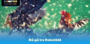 Kubet888