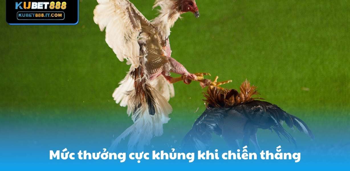 Mức thưởng cực khủng khi chiến thắng